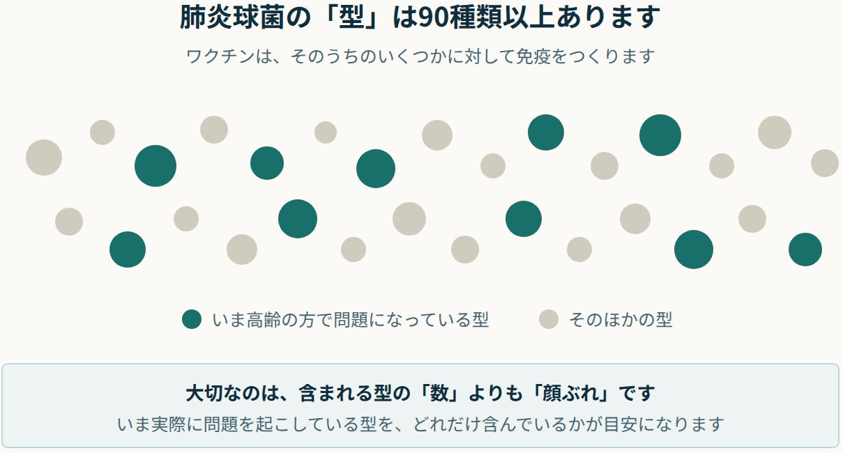 肺炎球菌の型は90種類以上あり、いま高齢者で問題になっている型は一部であるこ とを示した図